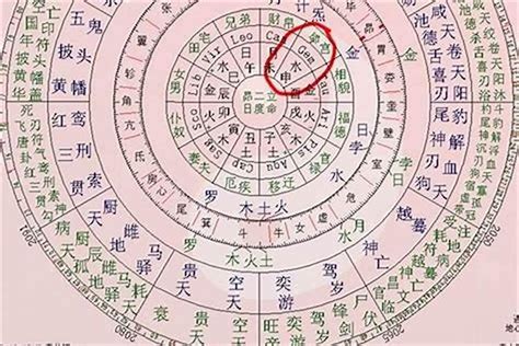 日元 八字|八字日元是什麼意思？解開你命盤的秘密！｜魔幻水